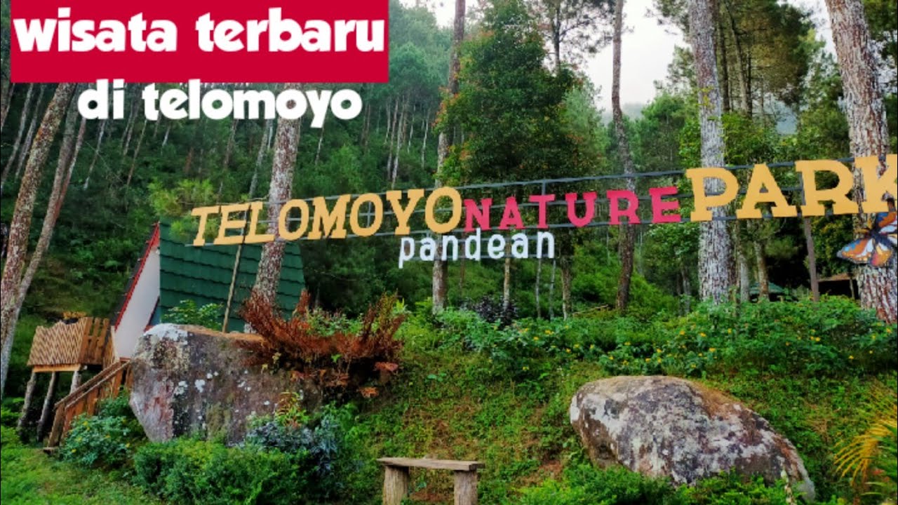 Telomoyo Nature Park: Menjelajahi Keindahan Alam di Lereng Gunung Telomoyo